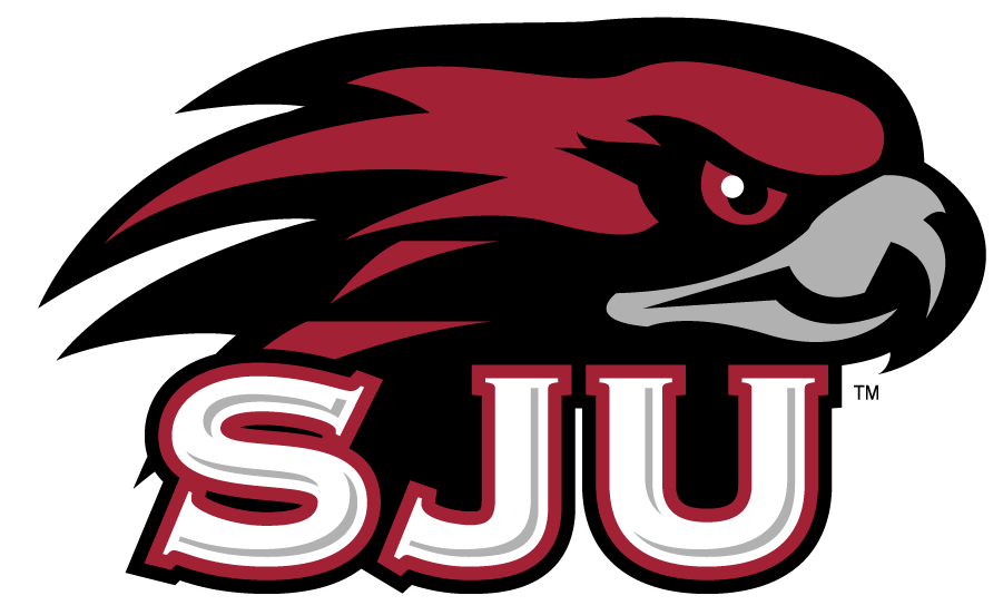 St. Joseph's Hawks 2002-Pres Secondary Logo v2 iron on transfers for T-shirts